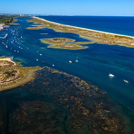 Nesha Paradise * Tavira