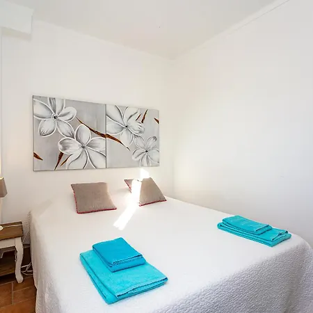 Tatil Evi Nesha Paradise