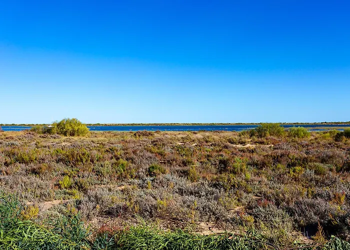 Nesha Paradise 度假居 *