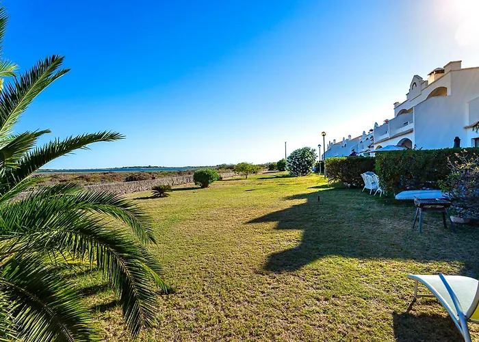 Nesha Paradise Tavira