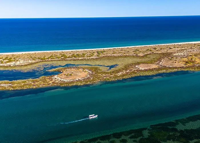 Nesha Paradise Holiday home