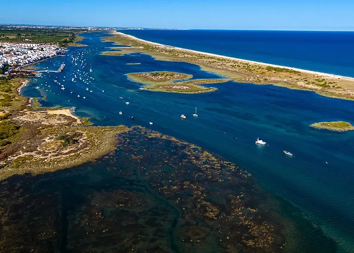 Nesha Paradise * Tavira